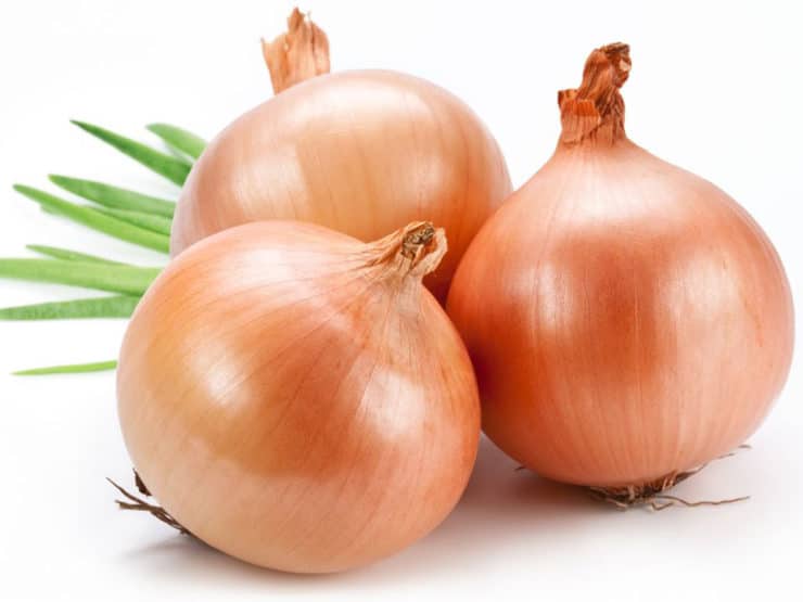 All-About-Onions-on-TheShiksa.com-history-cooking-tutorial