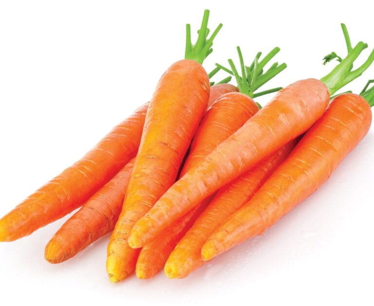 The-lost-plot-growing-carrots-iStock-471680420