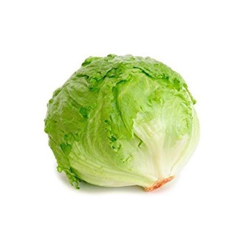 lettuce-iceberg-500x500